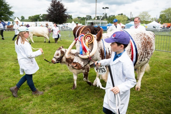 Shropshire County Show 2019 hailed a success after more than 8,000 people basked in the sunshine