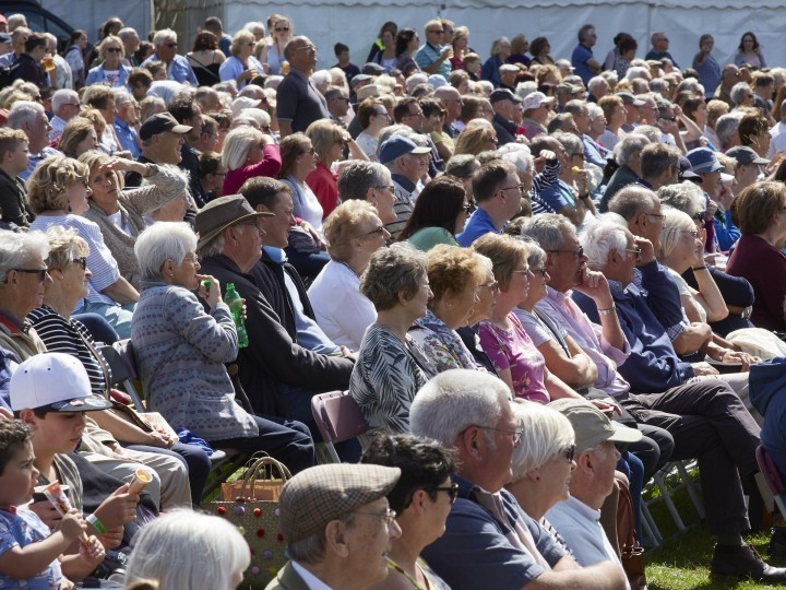 Shrewsbury Flower Show shortlisted for national award