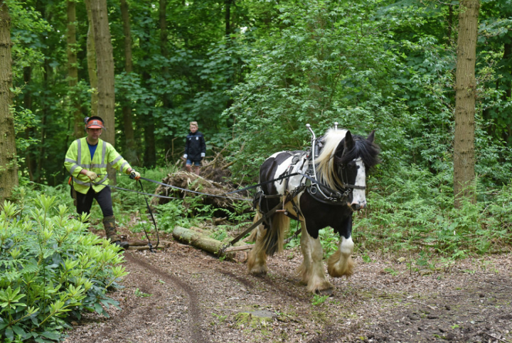 Youngsters to enjoy messy play during half term at Staffordshire County Show