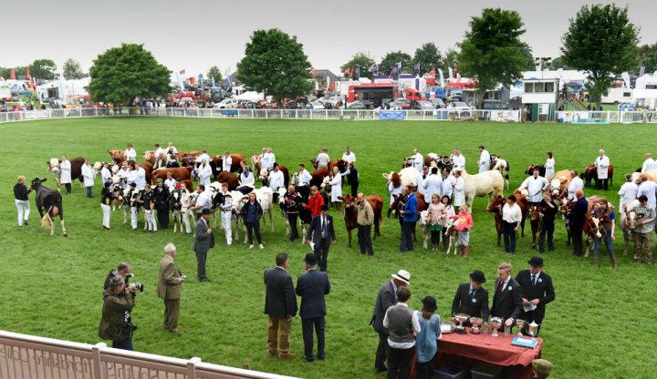 Presidents commitment to excellence at Staffordshire County Show