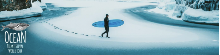 Dive into ocean adventure at Theatre Severn