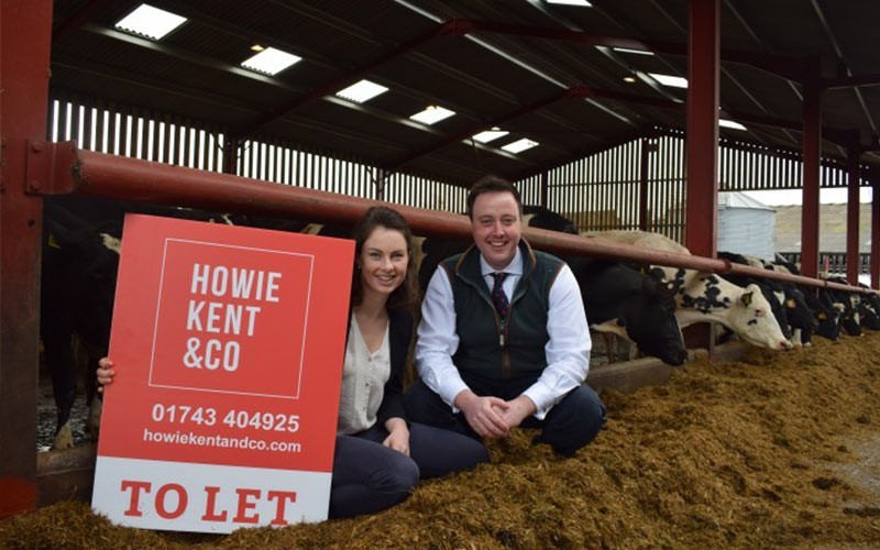 Professional Services