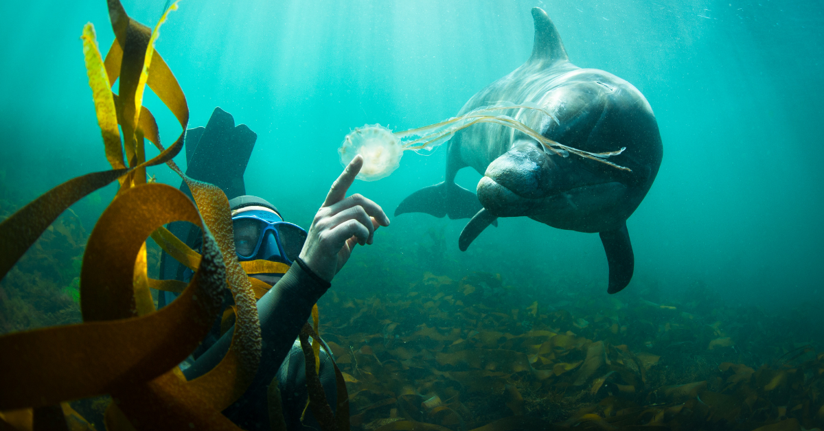 Ocean Film Festival returns to Shrewsbury's Theatre Severn